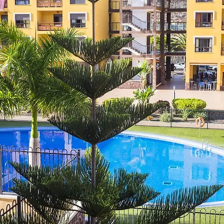 El Mocan De Thiago Palm Mar